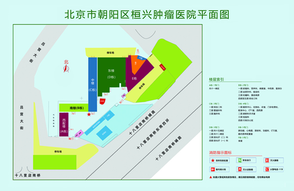 日本艹逼北京市朝阳区桓兴肿瘤医院平面图